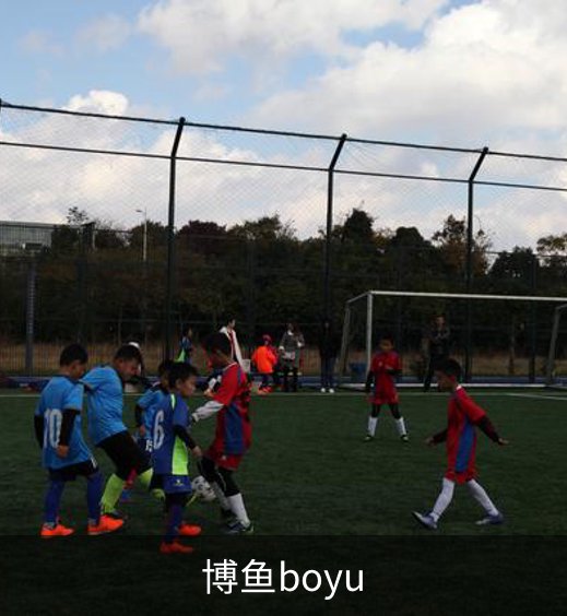 关于博鱼boyu